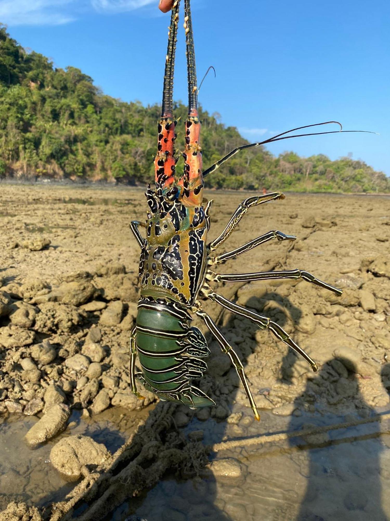 Pankabay Resort Ko Bulon Le エクステリア 写真